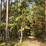 Dom Caloroczny Nad Jeziorem *